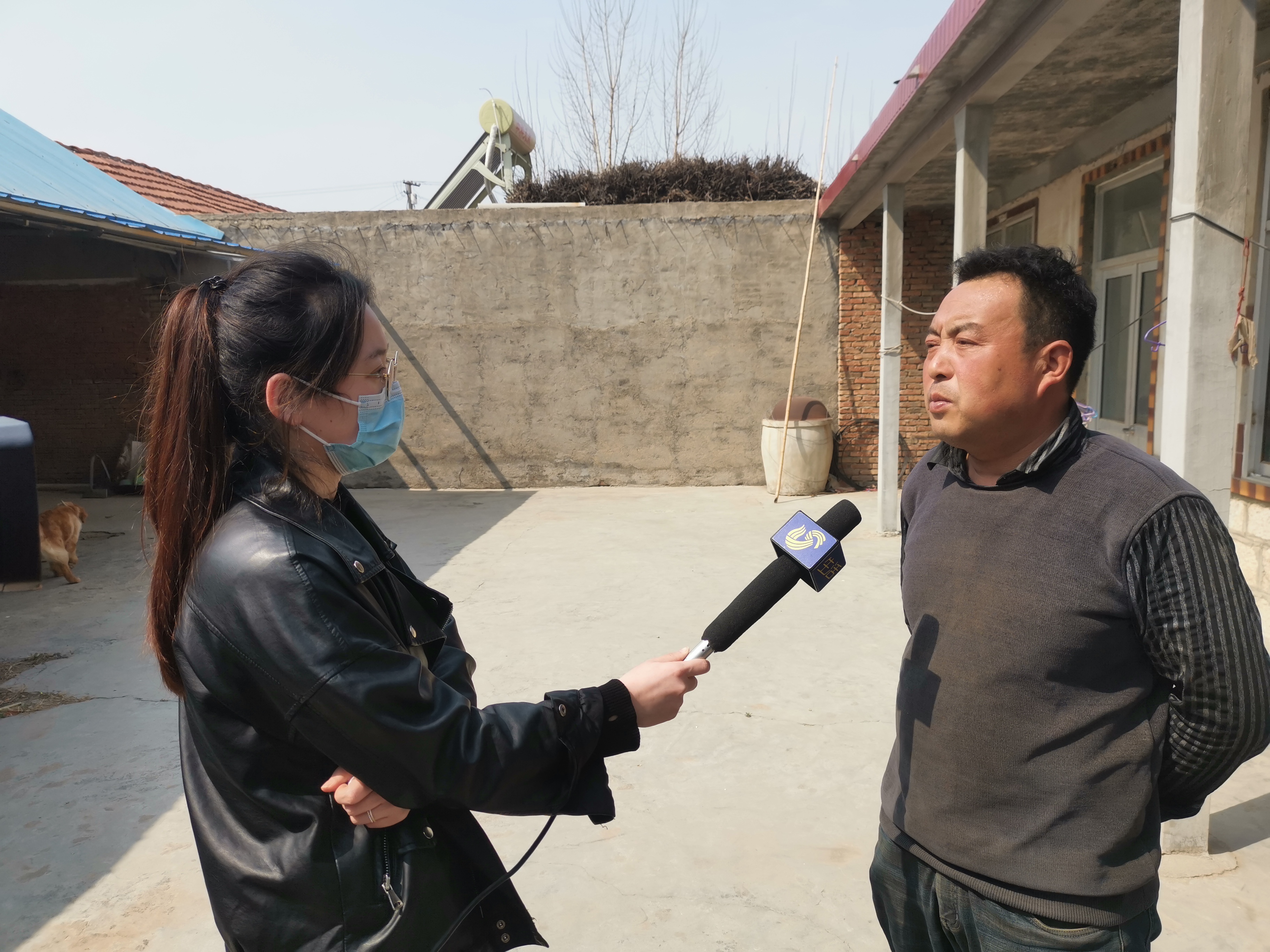 第209所 平度市崔家集镇状元府完美平台刘丽新小学