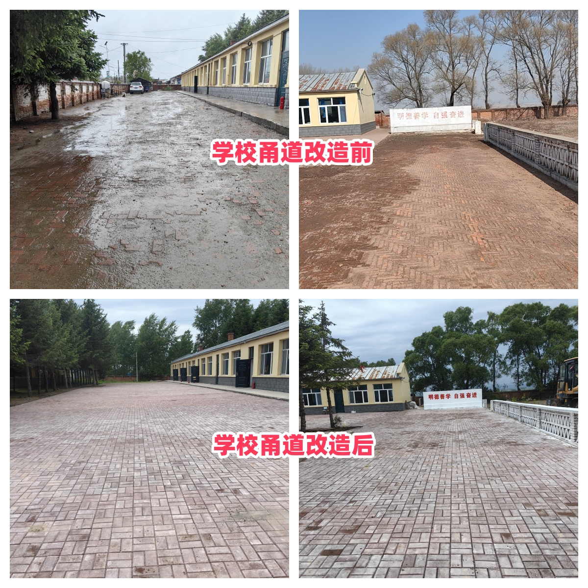 第254所 黑龙江巴彦县黑山镇民乐村完美平台侯玉霞学校